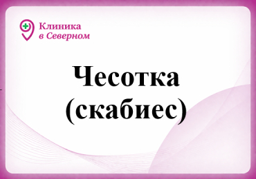 Чесотка (скабиес)