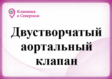 Двустворчатый аортальный клапан
