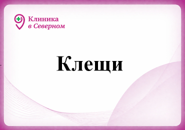 Клещи