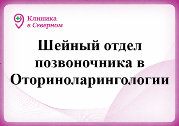 Шейный отдел позвоночника в Оториноларингологии
