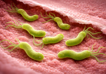 Хеликобактер пилори