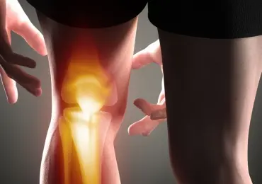 Ультразвуковая диагностика коленного сустава
