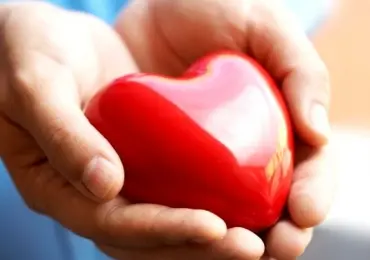 Берегите свое сердце – предупредите инфаркт и инсульт!