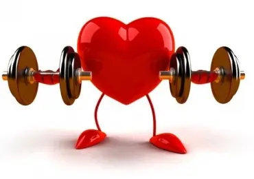 Тренировки и сердце