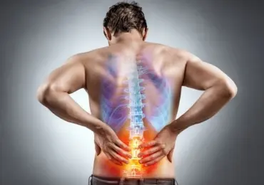 Дорсалгия: почему болит спина?